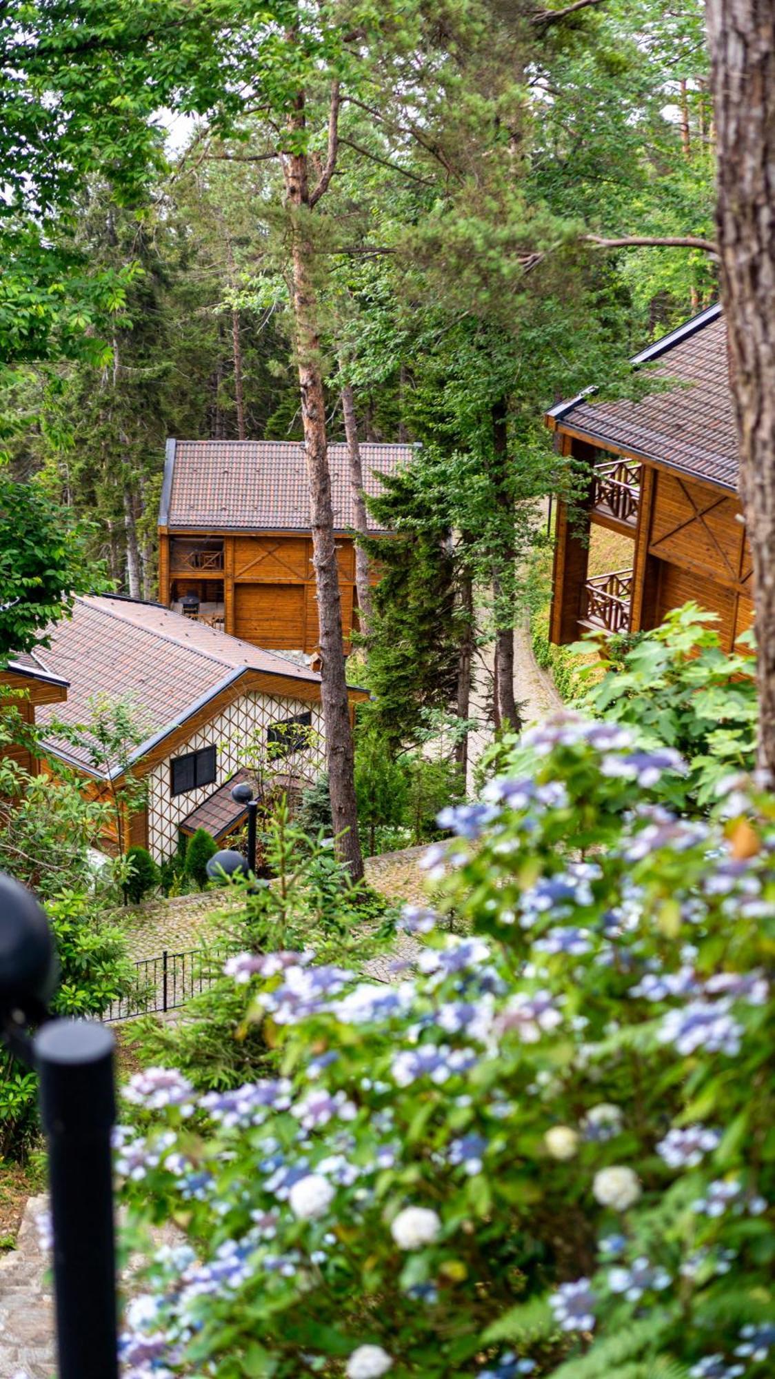 Hancioglu Orman Evleri  Trabzon Exterior foto